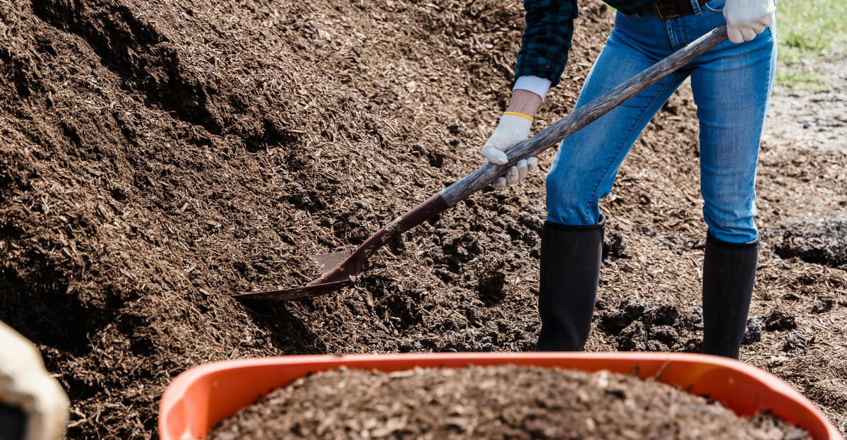 Mulch to manage weeds